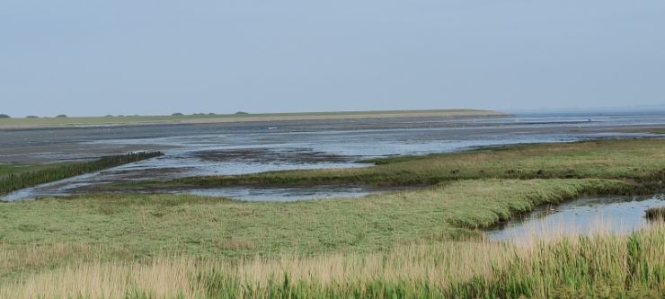 image008.jpg